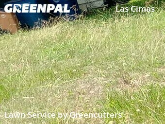 Lawn Care nearby Austin, TX, 