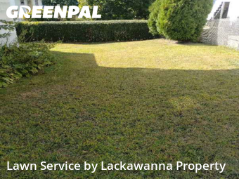 Lawn Mow nearby Avoca, PA, 