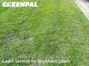Grass Cut nearby Geismar, LA, 