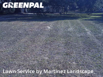 Lawn mowed in Lady Lake, 32159