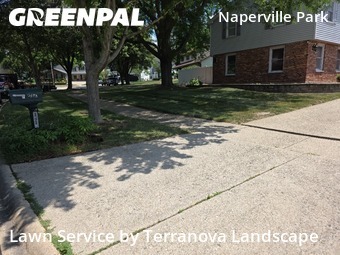Lawn Cut nearby Naperville, IL, 