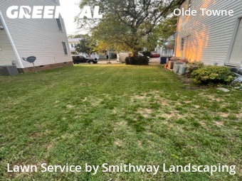 Grass Cut nearby Portsmouth, VA, 