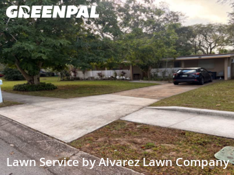 Grass Cutin Altamonte Springs,32714,Yard Mowing by Alvarez Lawn Company, work completed in Jan , 2026
