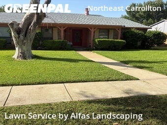 Landscaping Cleanup In Carrollton,75007,Landscaping by Alfas Landscaping, work completed in Jul , 2026