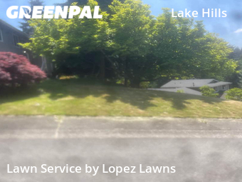 Lawn Mow nearby Bellevue, WA, 