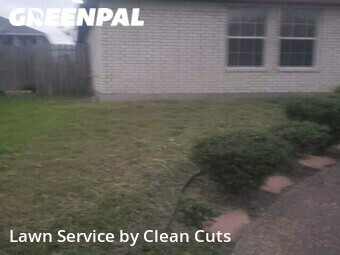 Lawn Cut nearby Corpus Christi, TX, 
