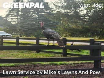Lawn Care Service nearby Manchester, NH, 