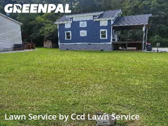 Yard Cutting nearby Pigeon Forge, NC, 