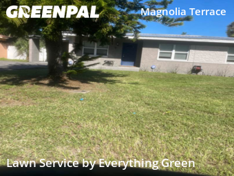 Yard Maintenance in Daytona Beach, 32114, Grass Cutting by Everything Green , work completed in Nov , 2025