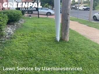 Lawn Mowing Service nearby St. Louis, MO, 