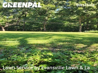 Lawn mowed in Evansville, 47720