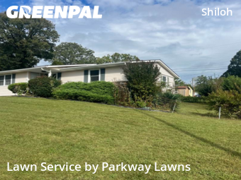 Yard Cutting nearby Asheville, NC, 