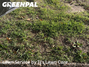 Lawn Care nearby Florissant, MO, 