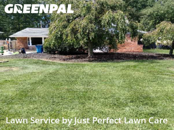 Yard Management in North Olmsted, 44070, Grass Services by Just Perfect Lawn Care, work completed in Oct , 2025