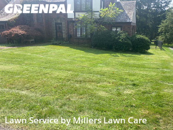 Lawn Cut nearby Pittsburgh, PA, 