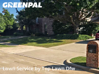 Landscaping Maintenance in Murphy, 75094, Yard Management by Top Lawn Dfw, work completed in Oct , 2025
