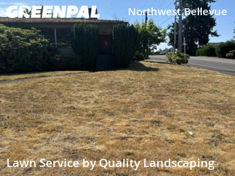 Lawn Care nearby Bellevue, WA, 