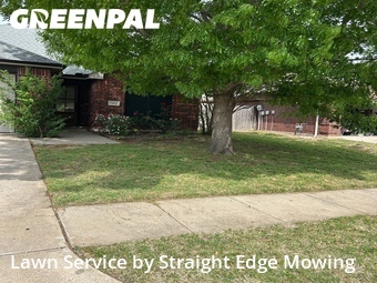 Grass Cut nearby Fort Worth, TX, 