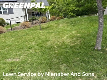 Lawn Cutting nearby Cincinnati, OH, 