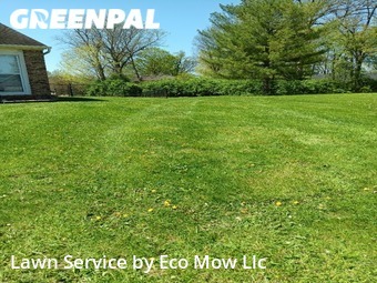 Yard Mowing nearby Greenwood, IN, 