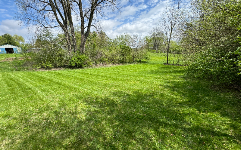 Work Image 3