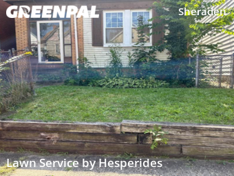 Lawn Cut nearby Pittsburgh, PA, 