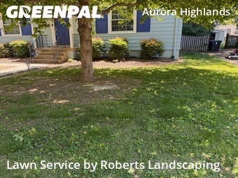 Lawn Care Service nearby Arlington, VA, 