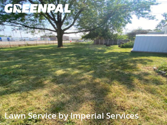 Lawn Care Service nearby Midlothian, IL, 