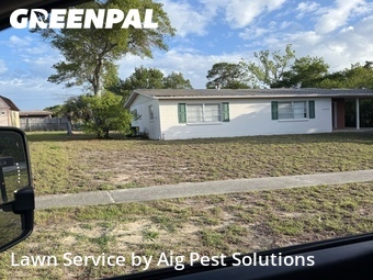 Lawn mowed in Spring Hill, 34606