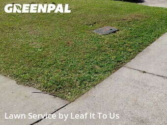 Grass Cutting nearby Tallahassee, FL, 