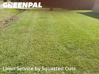 Grass Cut nearby Lafayette, LA, 