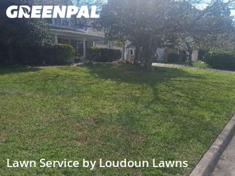 Turf Services in Sterling, 20165, Weekly Mowing by Loudoun Lawns, work completed in Dec , 2025