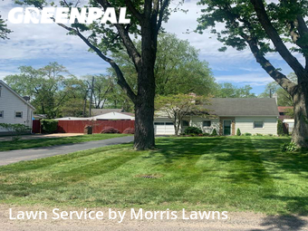 Yard Mowing nearby Toledo, OH, 