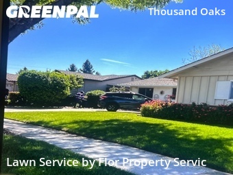 Lawn Mowing Service nearby San Jose, CA, 