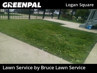 Grass Cut nearby Chicago, IL, 