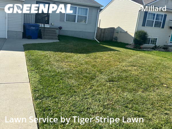 Grass Cutting nearby Omaha, NE, 