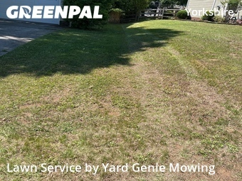 Grass Cutting nearby Charlotte, NC, 