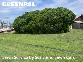 Grass Cutting nearby Port St. Lucie, FL, 