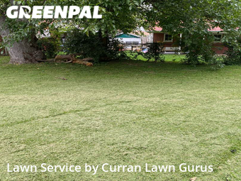 Lawn Cut nearby St. Louis, IL, 