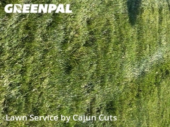 Lawn Care nearby Murfreesboro, TN, 