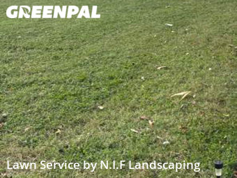 Grass Cutting nearby Charlotte, NC, 