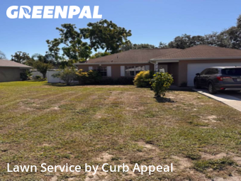 Yard Care in Spring Hill, 34609, Yard Care Services by Curb Appeal , work completed in Nov , 2025