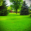 lawn-maintenance-in-Edina-MN