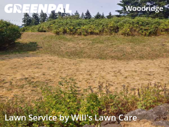Lawn Mowing Service nearby Bellevue, WA, 