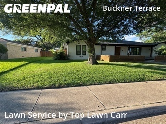 Grass Cutting nearby Dallas, TX, 