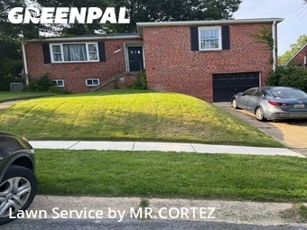 Yard Cutting nearby Silver Spring, MD, 