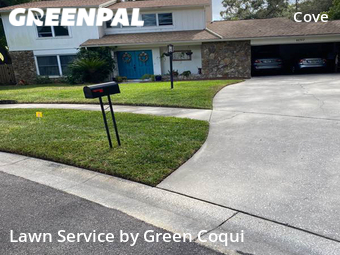 Grass Cut nearby Tampa, FL, 