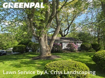 Yard Mowing nearby Kent, OH, 