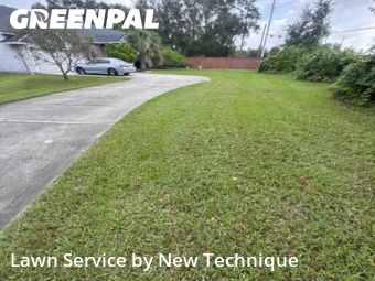 Lawn Management in Lake Mary, 32746, Lawn Maintenance by New Technique, work completed in Nov , 2025