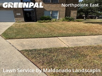 Lawn Mowingin Tomball,77375,Lawn Service by Maldonado Landscapin, work completed in Jan , 2026
